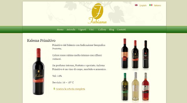 Descrizine dettagliata di ogni vino con relativa scheda completa scaricabile. Immagine 3
