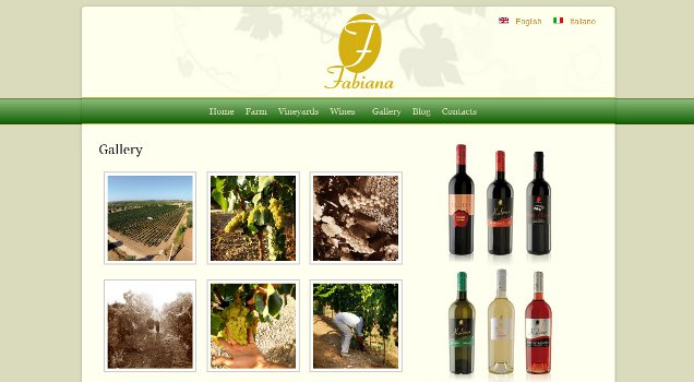 Galleria di immagini dei vigneti dell'azienda agricola. Immagine 4
