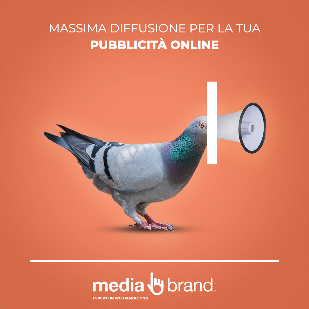 massima diffusione alle campagne adv online come piccione viaggiatore