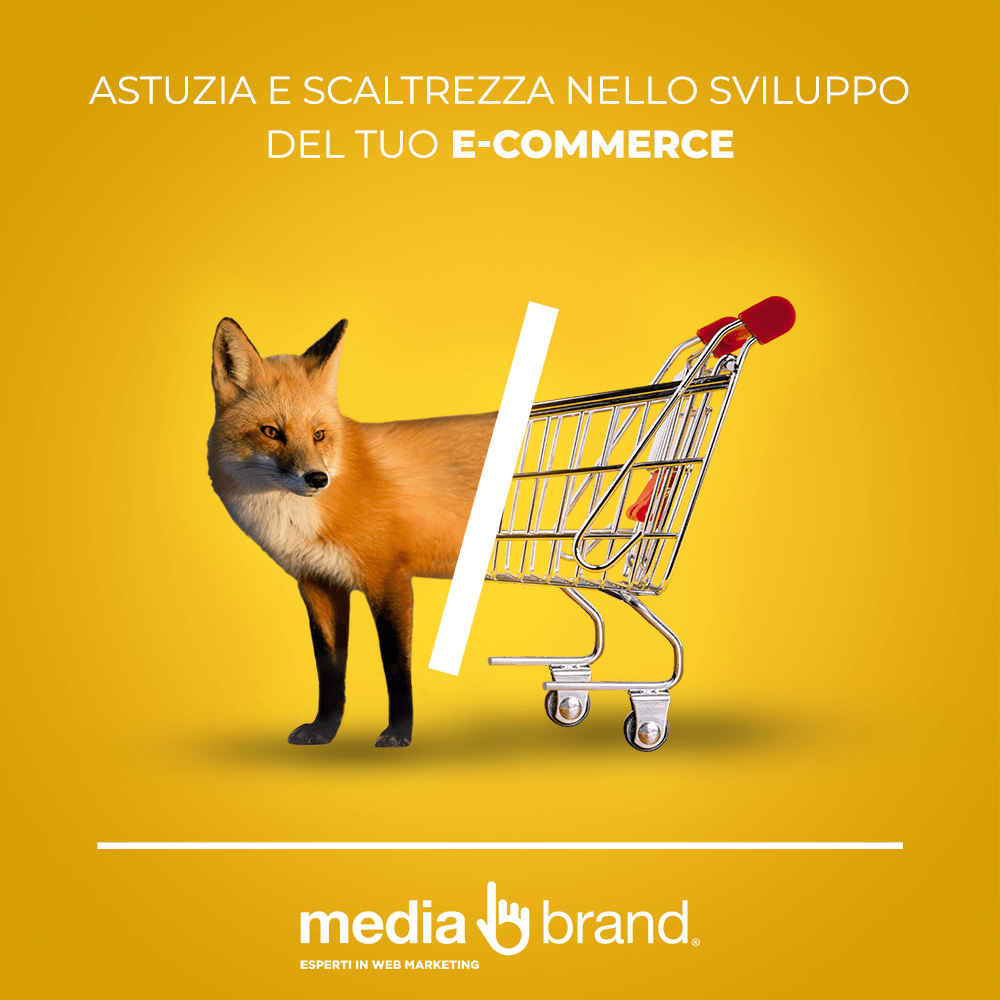 realizzazione siti ecommerce scaltri come volpe per il tuo business